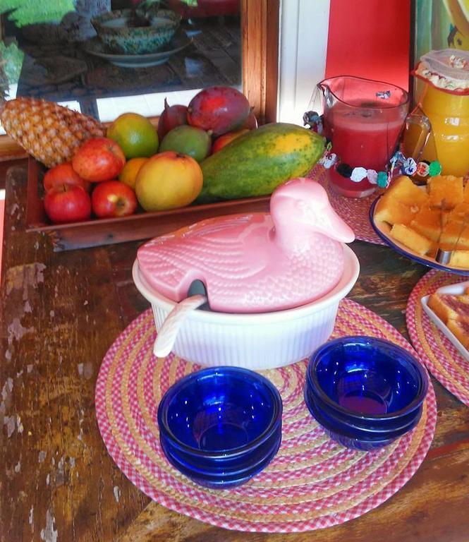Parador Villa Mimosa Petrópolis エクステリア 写真